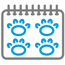 Icon of calendar with paws in grey and blue for Positive Dogs cat training class